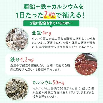ケンビファミリー　亜鉛プラス×2本 ケンビファミリー 亜鉛プラス×2本